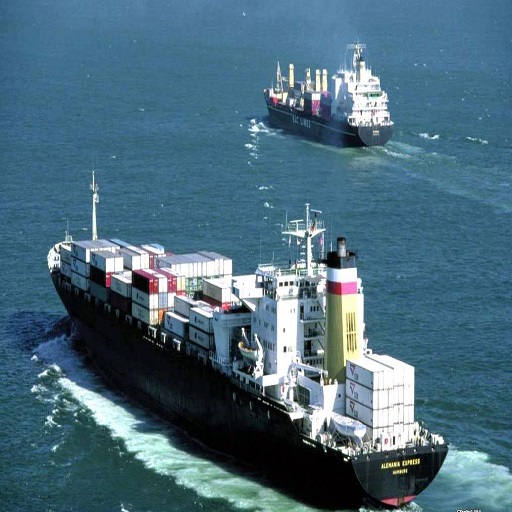 海运运输条件鉴定